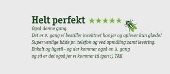 helt perfekt stor